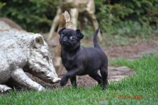 ���� 2,5 ������