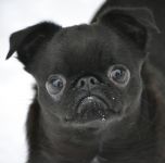 ���� 10 �������