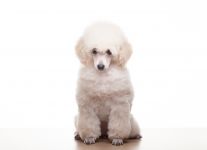 ����� 3 ������