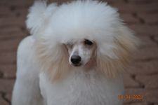 ����� 8 �������