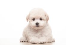 ����� 2 ������