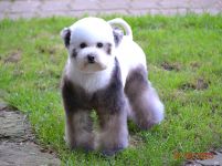 ����� 1,5 ����