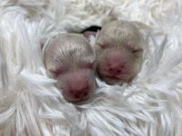 ���� � ����