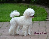 ���� 4,5 ������