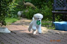 ���� 6 �������