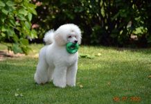 ���� 6 �������